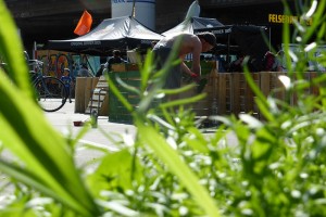 20160806_P1060912